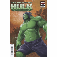 The Incredible Hulk # 23 (Variant) 