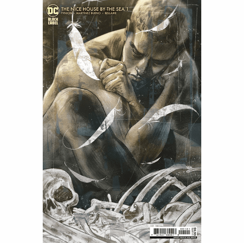 The Nice House By The Sea # 1 (Variant)