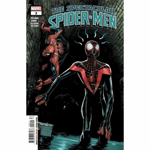 The Spectacular Spider-Men # 2