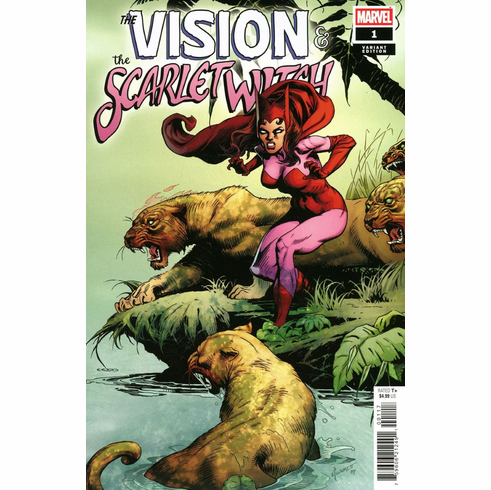 The Vision & The Scarlet Witch # 1 (Incentive Hidden Gem Variant)