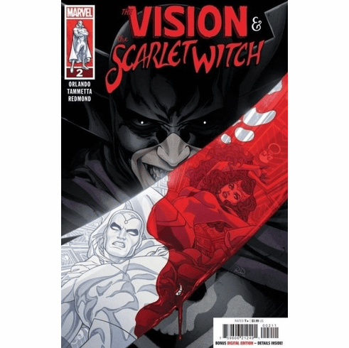 The Vision & The Scarlet Witch # 2