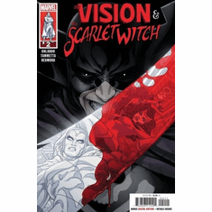 The Vision & The Scarlet Witch # 2