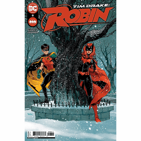 Tim Drake: Robin # 8