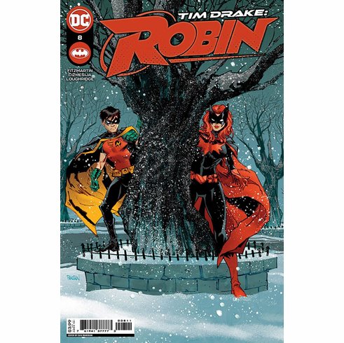 Tim Drake: Robin # 8