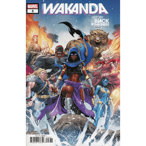 Wakanda # 3 (Variant)