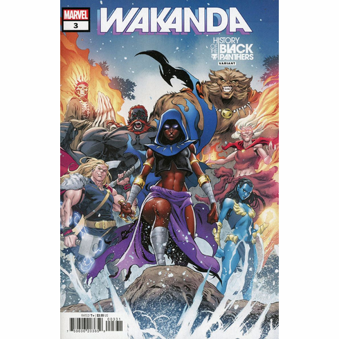 Wakanda # 3 (Variant)