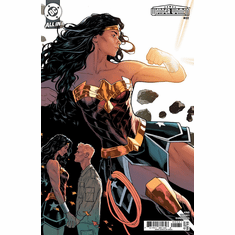 Wonder Woman # 22 (Variant)