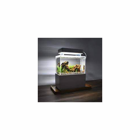 Fishtank