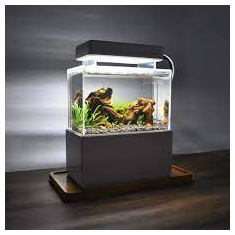 Fishtank