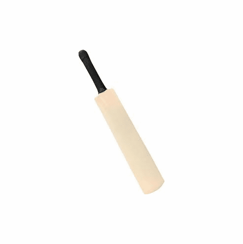 bat