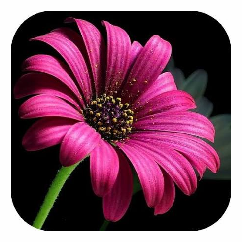 ogtest