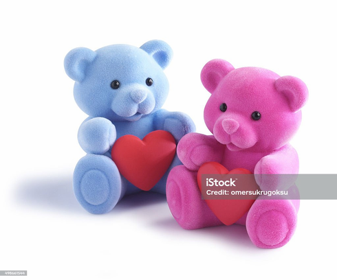 Teddy