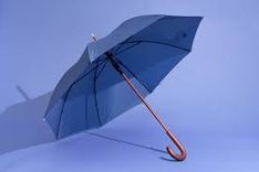Umbrella