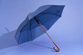 Umbrella