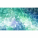 $15 Gift Certificate