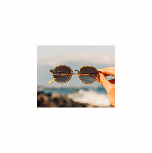 gc Sunglasses