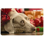 $15 Gift Certificate