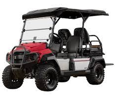 Lithium Battery-powered Yamaha UMAX Rally 2+2