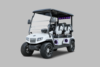 NEW EVolution Maverick 4 Plus 48V Lithium Golf Cart with 4 Forward-facing Seats