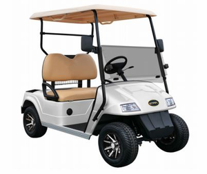 NEW Star CLASSIC 36V 2-Seater Golf Cart SAVE $2000!