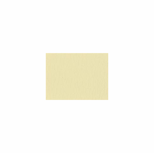 All Star "Parchment"
