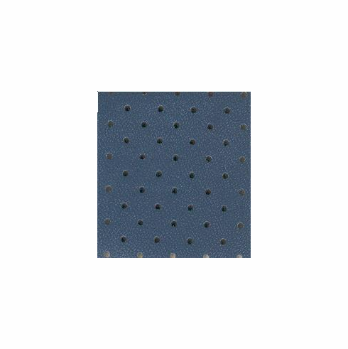 Blue Perforated Headliner