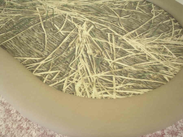 Camo Table 4