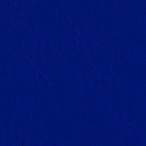 Capitano Blue Chip