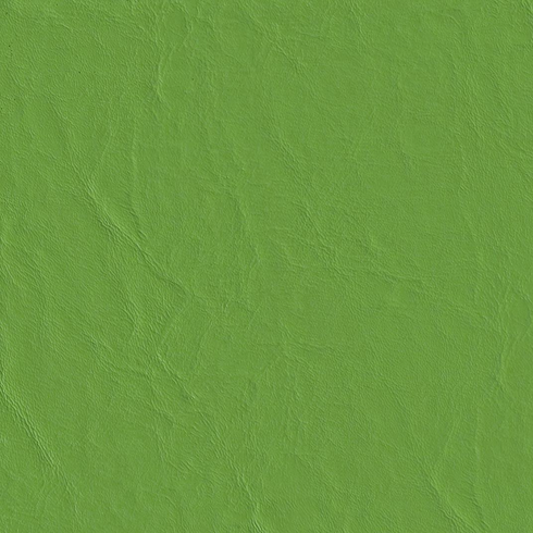 Capitano Parakeet