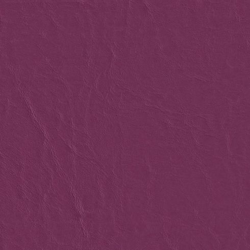 Capitano Wild Orchid