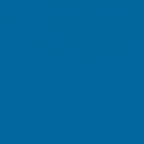 Classic Blue Bird