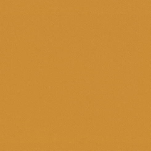 Classic Camel