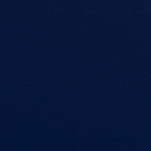 Classic Navy