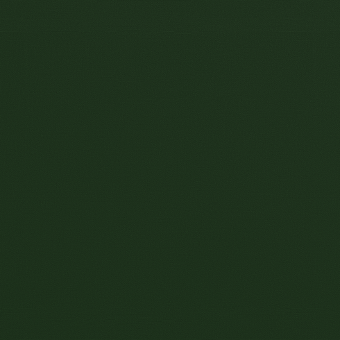Classic Olive