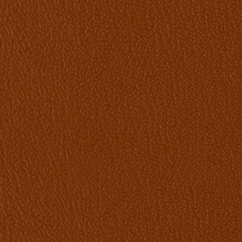 ColorGuard Allspice