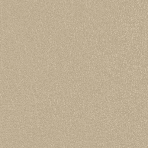 ColorGuard Beige