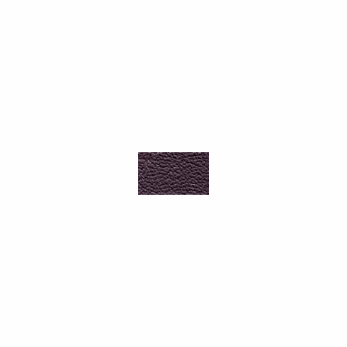 ColorGuard Black Plum