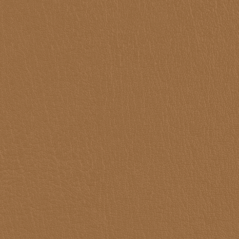 ColorGuard Bucksuede