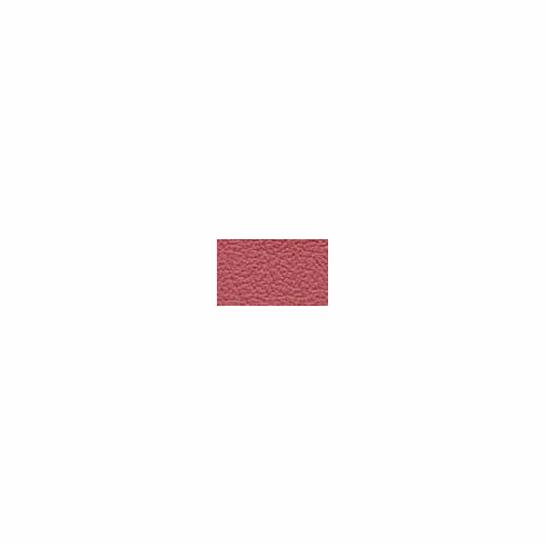 ColorGuard Cerise