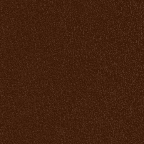 ColorGuard Chocolate