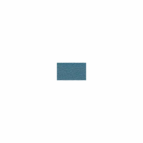 ColorGuard Colonial Blue