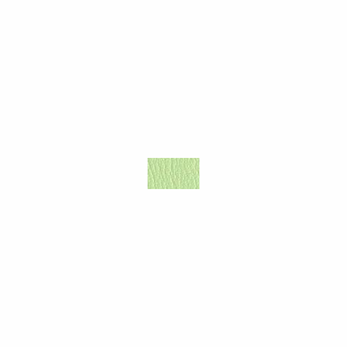 ColorGuard Green Apple