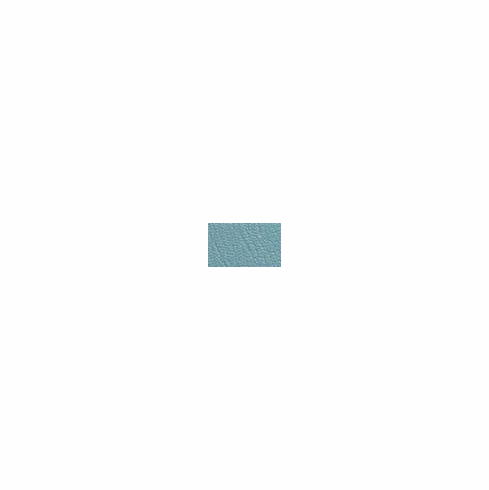 ColorGuard Light Teal