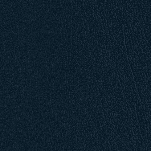 ColorGuard Navy