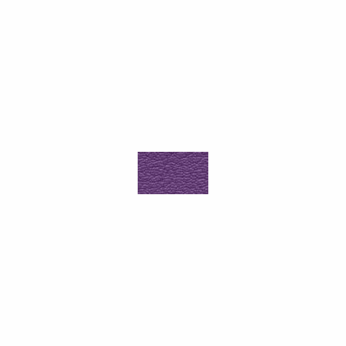 ColorGuard New Purple