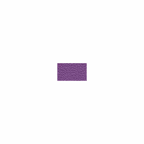 ColorGuard Purple Iris