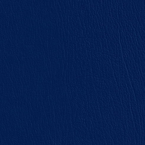 ColorGuard Regal Blue