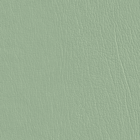 ColorGuard Seafoam