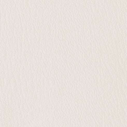 ColorGuard White