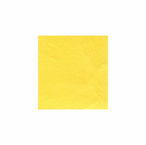 Key West Bright Yellow